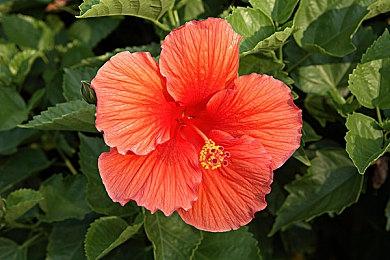 不知不觉间，《上古卷轴5》已经度过11岁生日了